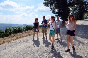 vineyard walk La Morra